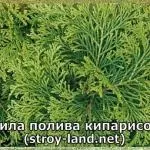 Актор денис ріжків в якій команді квн він грав (ріжків) Актор денис ріжків в якій команді квн він грав