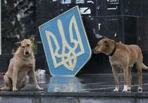 Afn, видання, ІНОЗМІ - все, що гідно перекладу () Afn, видання, ІНОЗМІ - все, що гідно перекладу