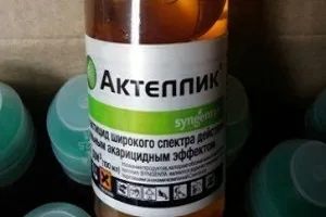 Актеллик інструкція із застосування (актеллик інструкція із застосування для кімнатних рослин) Актеллик інструкція із застосування