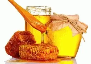 Алое при гастриті сік з медом при підвищеній кислотності (кислотності) Алое при гастриті сік з медом при підвищеній кислотності