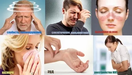 Алергія на цитрусові що потрібно знати (потрібно) Алергія на цитрусові що потрібно знати
