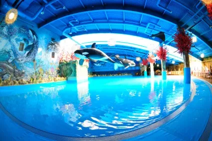 Аквапарк дрім таун в киеве - «dream island» (dream) Аквапарк дрім таун в киеве - «dream island»