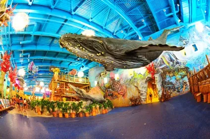 Аквапарк дрім таун в киеве - «dream island» (аквапарк) Аквапарк дрім таун в киеве - «dream island»