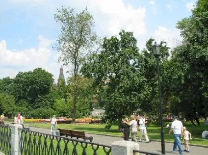 Олександрівський сад - парк у кремля (александровский) Олександрівський сад - парк у кремля