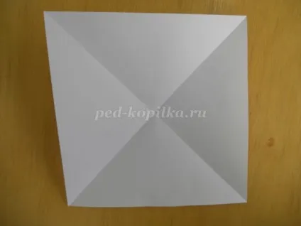 Акваріум з коробки своїми руками (своїми) Акваріум з коробки своїми руками