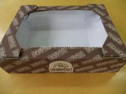 Акваріум з коробки своїми руками (своїми) Акваріум з коробки своїми руками