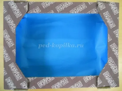 Акваріум з коробки своїми руками (руками) Акваріум з коробки своїми руками