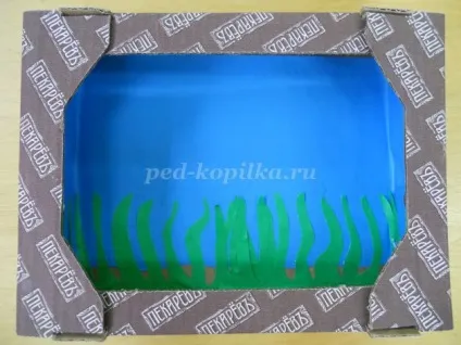 Акваріум з коробки своїми руками (своїми) Акваріум з коробки своїми руками