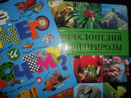 Акваріум з коробки своїми руками (своїми) Акваріум з коробки своїми руками