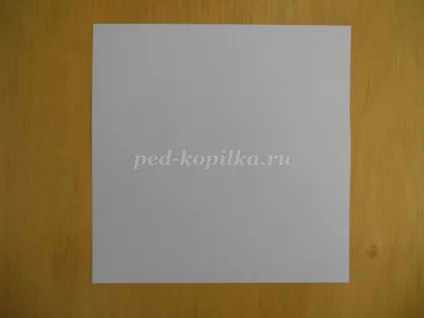 Акваріум з коробки своїми руками (своїми) Акваріум з коробки своїми руками