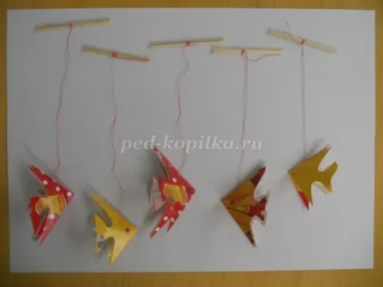 Акваріум з коробки своїми руками (руками) Акваріум з коробки своїми руками