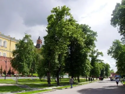 Олександрівський сад - парк у кремля (александровский сад) Олександрівський сад - парк у кремля