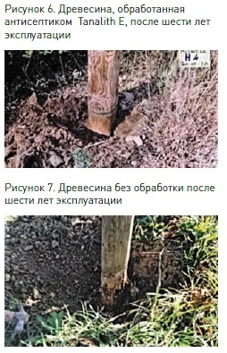 Антипірени та антисептики для глибокого просочення деревини (глибокої) Антипірени та антисептики для глибокого просочення деревини