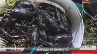 Амулети і талісмани для полювання і риболовлі