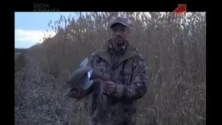 Амулети і талісмани для полювання і риболовлі