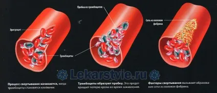 Антикоагулянти список препаратів прямої дії нового покоління (препаратів) Антикоагулянти список препаратів прямої дії нового покоління