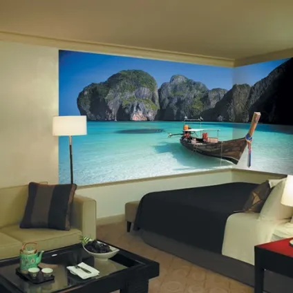 Antimarker murals