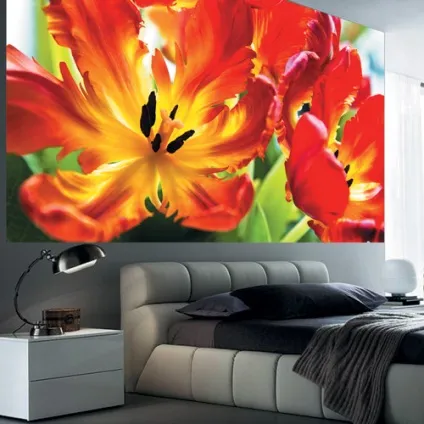 Antimarker murals
