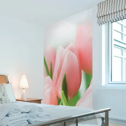 Antimarker murals