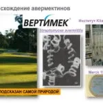 Авермектини препарати фрамакологіческой групи, механізм дії (препарати) Авермектини препарати фрамакологіческой групи, механізм дії