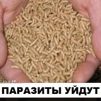 Аптечні препарати (анаболіки, стероїди) для зростання м'язової маси (зростання) Аптечні препарати (анаболіки, стероїди) для зростання м'язової маси
