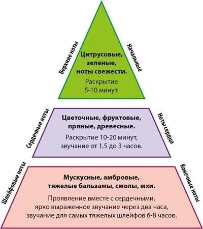 Armelle-ru - відповіді на питання (Духи компанії Armelle) Armelle-ru - відповіді на питання