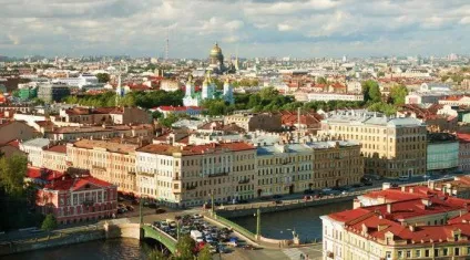 Австралійський великий затоку опис, фото (австралійський) Австралійський великий затоку опис, фото
