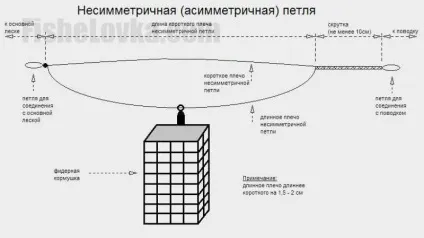 Асиметрична петля для фідера як зв'язати, коли використовувати (асиметрична) Асиметрична петля для фідера як зв'язати, коли використовувати