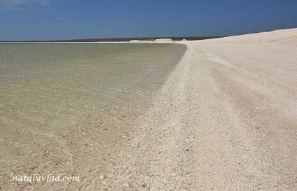 Австралія shell beach, natalyvlad blog