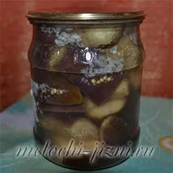 Баклажани під гриби на зиму - заготовки на зиму - кулінарія - дрібниці життя (гриби) Баклажани під гриби на зиму - заготовки на зиму - кулінарія - дрібниці життя