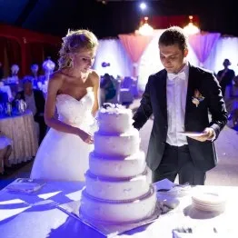 Метелики любові весілля дениса і олени - the bride (bride) Метелики любові весілля дениса і олени - the bride