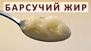Борсуковий жир для легких застосування та відгуки (відгуки) Борсуковий жир для легких застосування та відгуки
