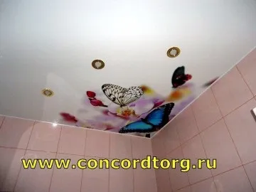 Метелики на натяжній стелі - більше 480 картинок фотодруку, конкорд (спб) (натяжна стеля) Метелики на натяжній стелі - більше 480 картинок фотодруку, конкорд (спб)