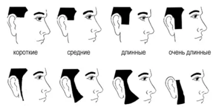 Бакенбарди - екстравагантний стиль модників (стиль) Бакенбарди - екстравагантний стиль модників