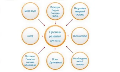 Бісептол при циститі як приймати, показання, протипоказання, побічні ефекти (циститі) Бісептол при циститі як приймати, показання, протипоказання, побічні ефекти