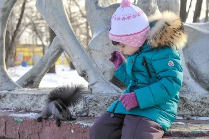Білки дітям не іграшка