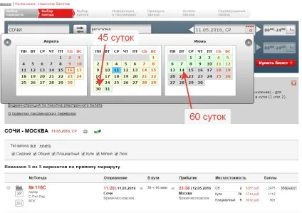 Квитки на сапсан за 999 рублів (квитки) Квитки на сапсан за 999 рублів