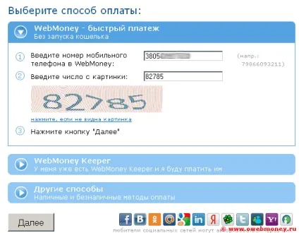 Швидкий платіж в wm merchant, все про webmoney (webmoney) Швидкий платіж в wm merchant, все про webmoney