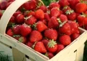 Бізнес на пляжі - ідеї, вкладення (пляжі) Бізнес на пляжі - ідеї, вкладення