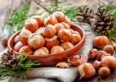 Бізнес на пляжі - ідеї, вкладення (бізнес) Бізнес на пляжі - ідеї, вкладення