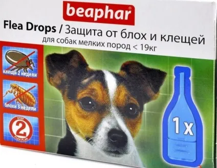 Блохи у цуценят лікування і огляд кращих засобів (лікування) Блохи у цуценят лікування і огляд кращих засобів