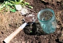 Боротьба з лисицями та іншими тваринами на ділянці (іншими) Боротьба з лисицями та іншими тваринами на ділянці