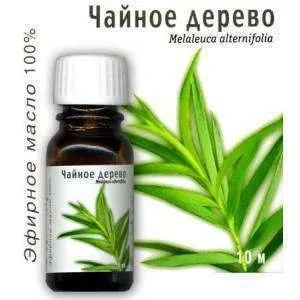 Боротьба з себореєю найбільш ефективні народні засоби (кошти) Боротьба з себореєю найбільш ефективні народні засоби