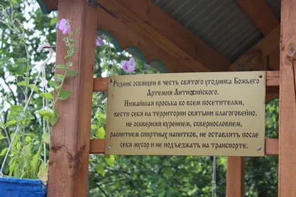 Буду допомагати, поки ходжу »
