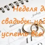 Бюджетна весілля або що робити, коли немає грошей на весілля, весілля від а до я (весілля) Бюджетна весілля або що робити, коли немає грошей на весілля, весілля від а до я