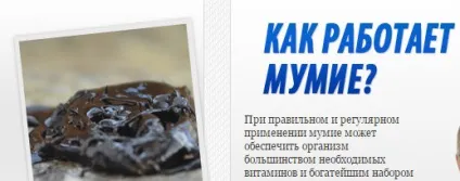 Бурачник лікарський - опис, властивості (Огіркова трава Бурачник лікарський) Бурачник лікарський - опис, властивості