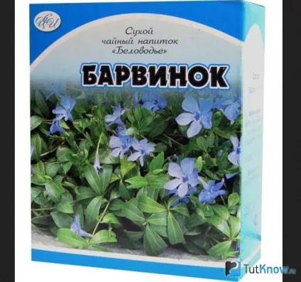Цілющі властивості і показання барвінку малого (барвінку) Цілющі властивості і показання барвінку малого