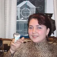 Чим можна начинити профітролі (заправити вершками сметаною) Чим можна начинити профітролі