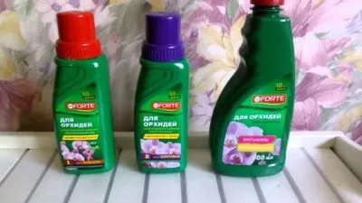 Чим підгодувати орхідею в домашніх умовах добрива (добрива) Чим підгодувати орхідею в домашніх умовах добрива
