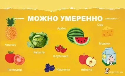 Чим не можна годувати собаку - my life (собаку) Чим не можна годувати собаку - my life
